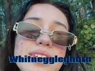 Whitneygleghorn