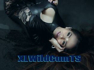 XLWildCumTS