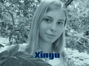 Xinyu