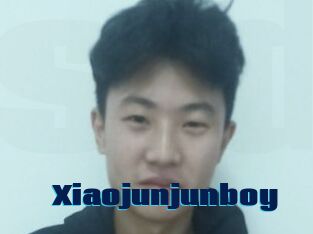 Xiaojunjunboy