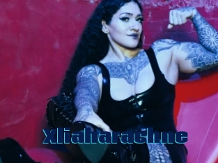 Xliaharachne
