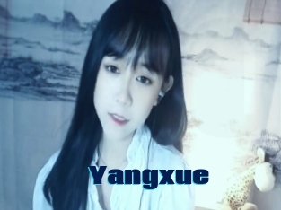 Yangxue