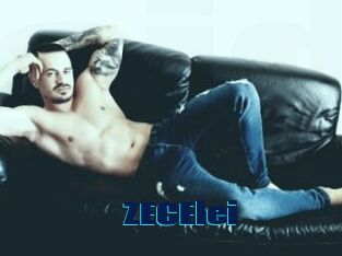 ZECElei