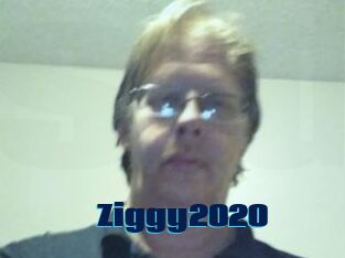 Ziggy2020