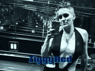 ZiggyRed