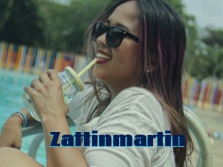 Zattinmartin