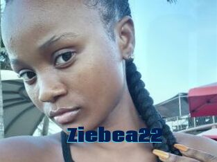 Ziebea22